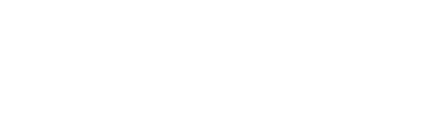 PORSCHE DESIGN